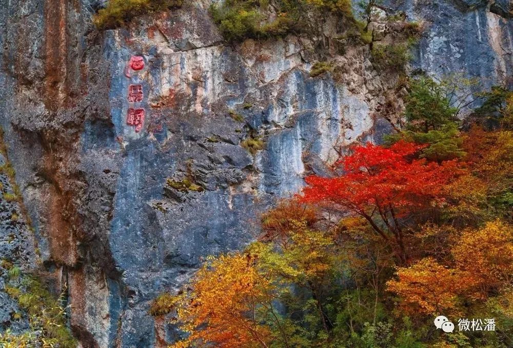 松潘之秋，品一场醇美的色彩盛宴