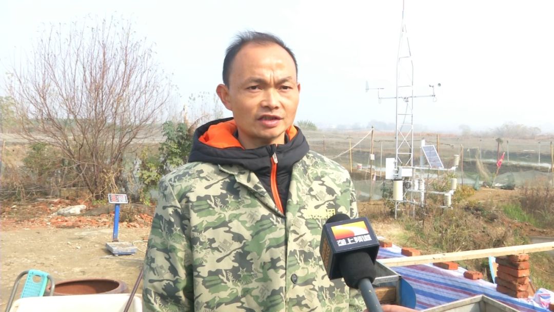 创富新发现：体质强健生长快，台湾泥鳅效益红火！