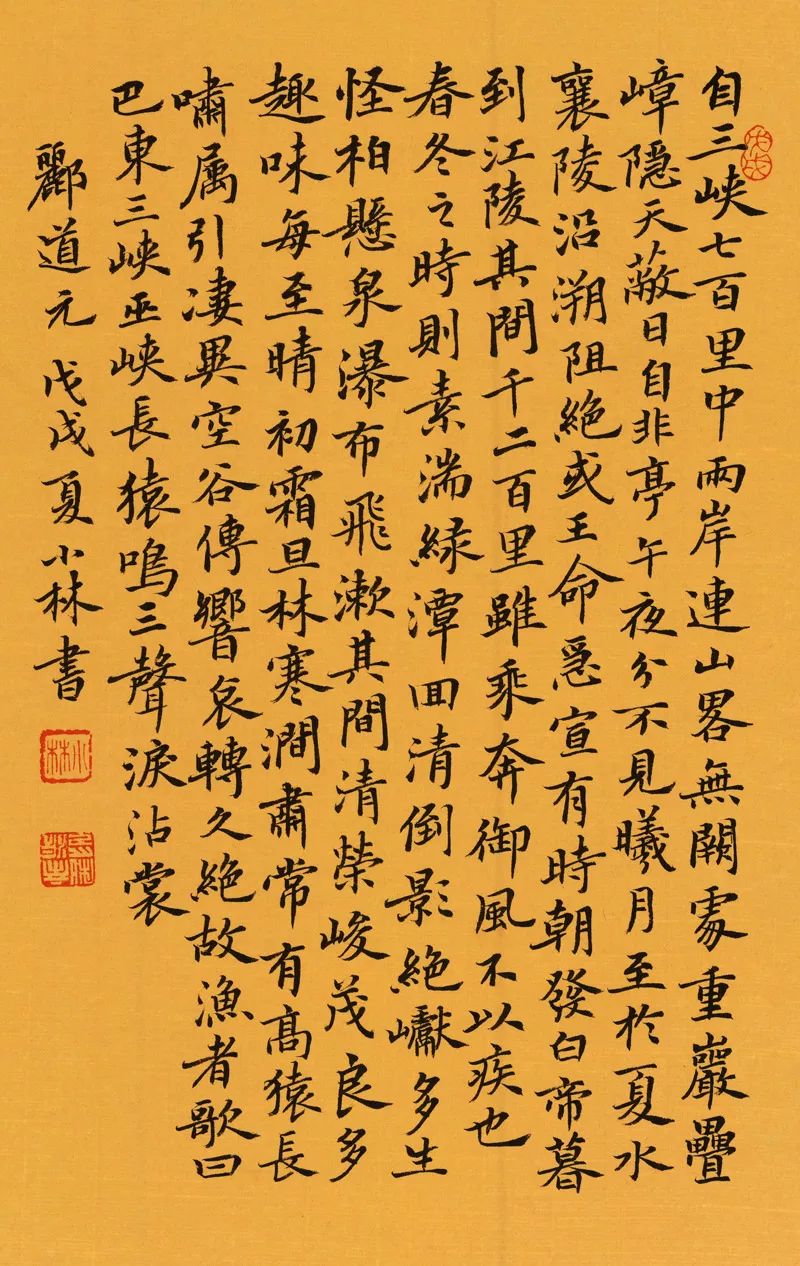 一年级作文放学和同学一起回家,放学回家后遇到感动的事情作文