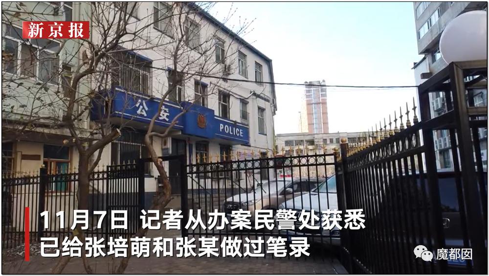 短跑名将张培萌被曝家暴,短跑名将张培萌殴打岳母被行拘