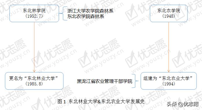 东北林业大学VS东北农业大学实力对比