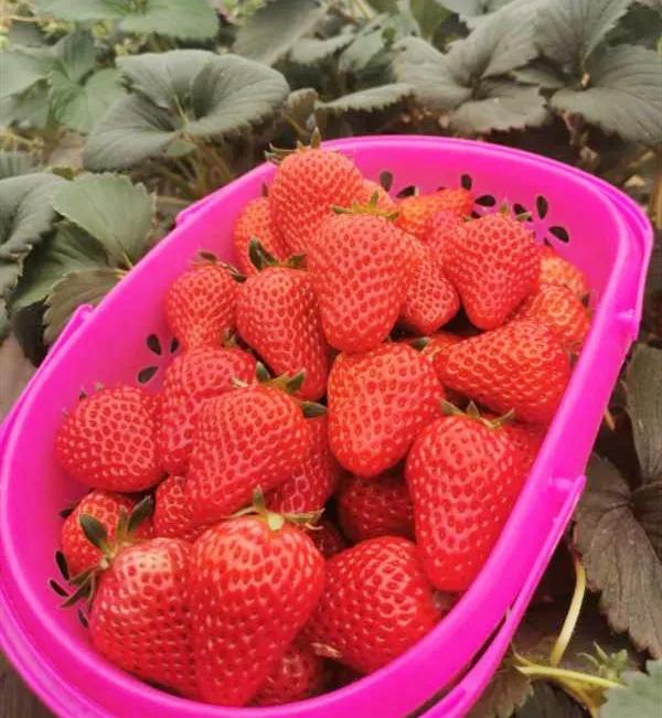 合肥小众风景区,合肥有一处小众景点