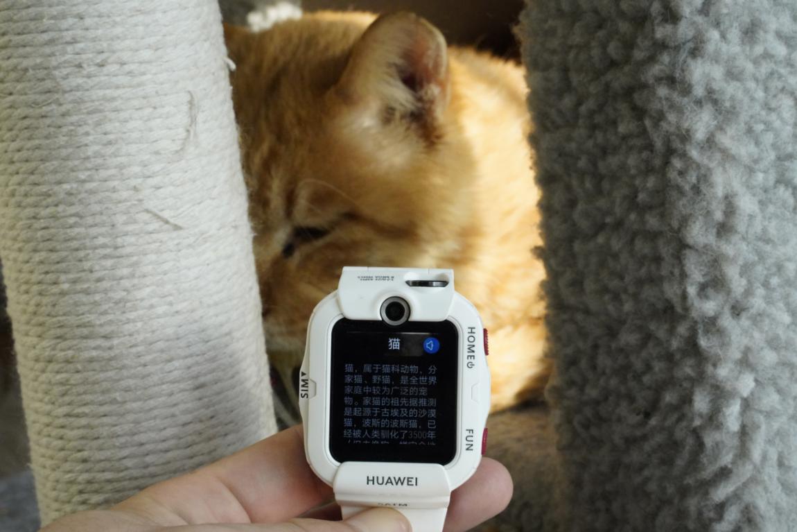 华为4x儿童手表和小天才z7哪个好,华为电话手表4x和小天才z6哪个好