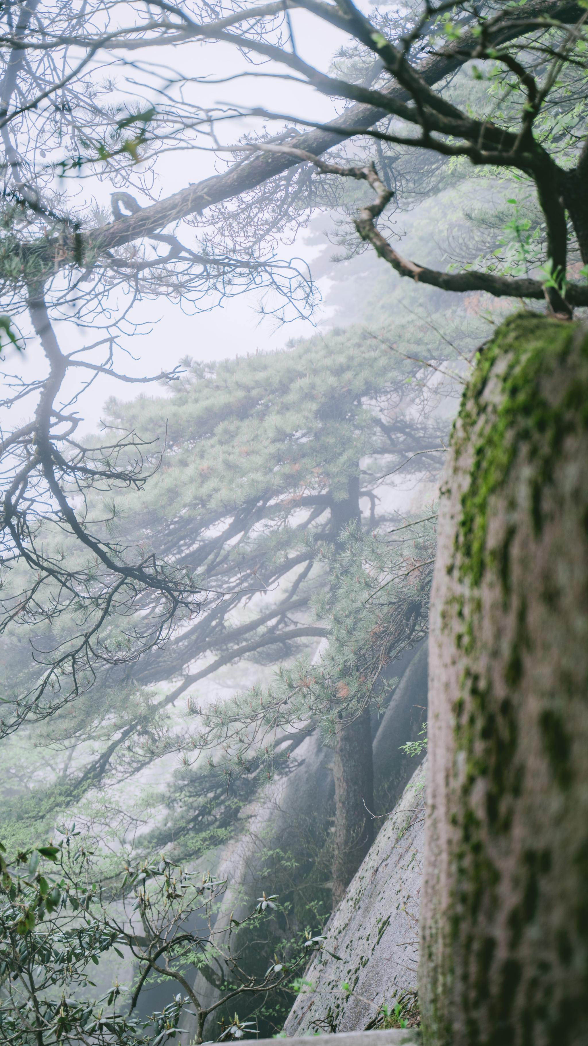 安徽天柱山有哪些好玩的景点推荐,安徽天柱山附近还有什么山