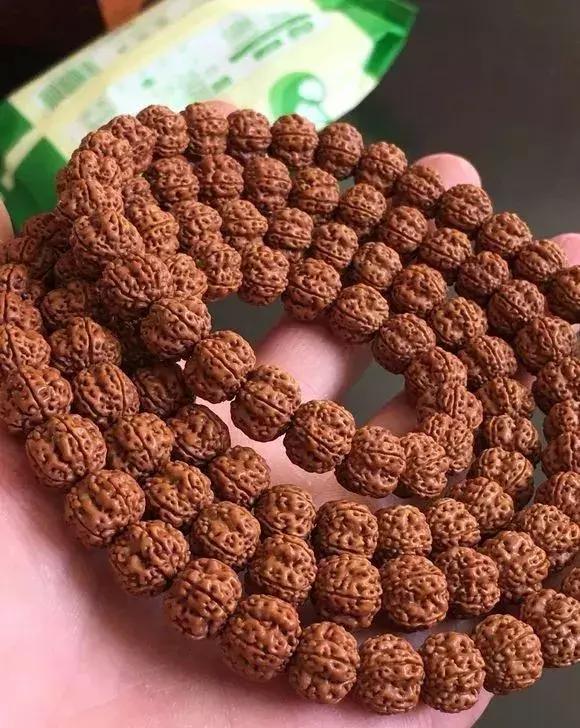 金刚贵贱区别,金刚菩提多久能红