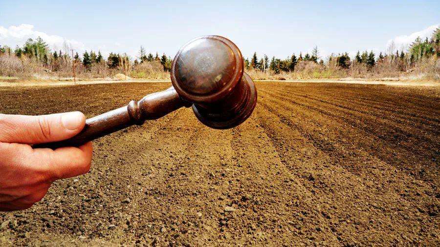 地价拿的低不代表卖的低,地价下降谁损失最大