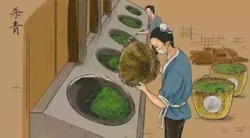 普洱茶工艺流程杀青,普洱茶杀青工艺