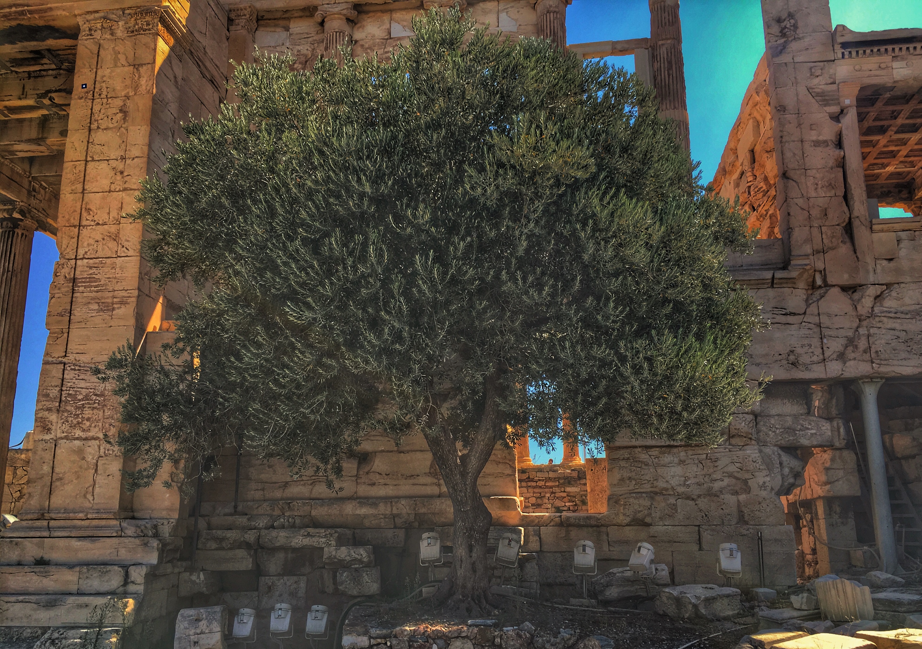 雅典现实,雅典现在的样子