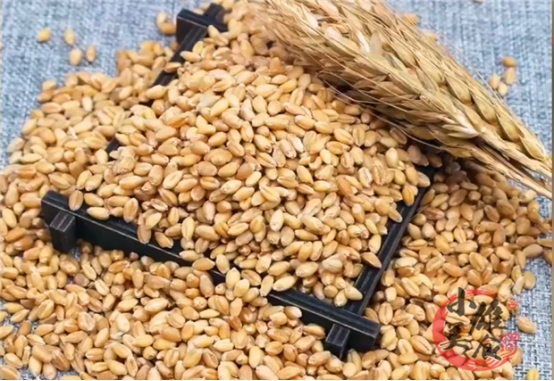 杩欐墠鏄湡姝ｇ殑灏忛害闈㈢矇,杩欐墠鏄皬楹﹂潰绮夌殑鏈壊