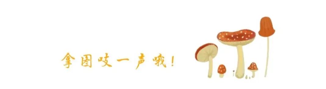 关于减肥的搞笑表情包,我真的不想表情包