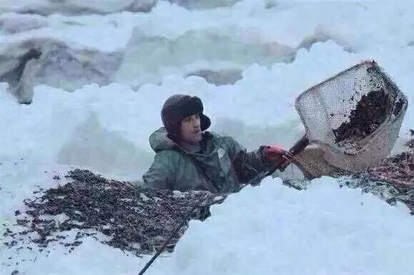 老蜜蜡与新蜜蜡区别是什么,老蜜蜡和新蜜蜡的区别图片