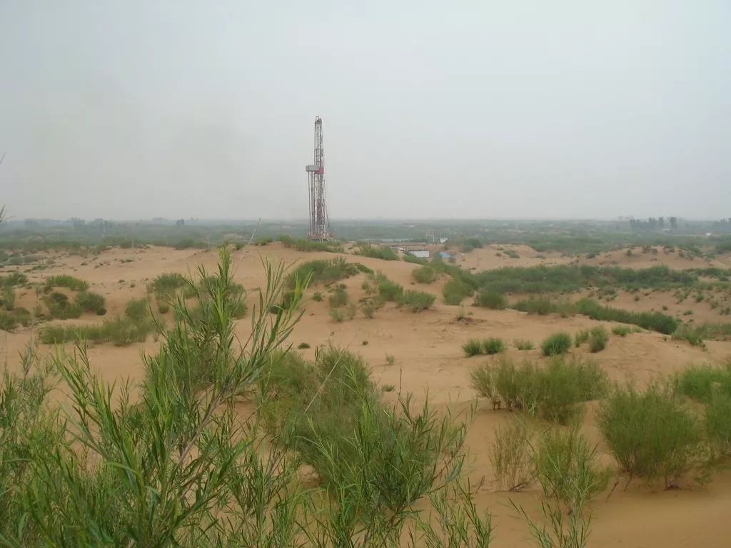 贝尔荒野求生取水教程,荒野求生必备小技巧