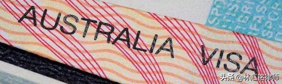 虐狗学生被开除学籍,虐狗被取消研究生资格