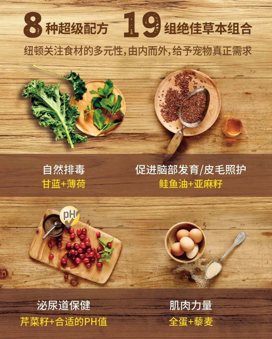 布偶猫适合吃纽顿哪一款,纽顿猫粮布偶猫吃不吃