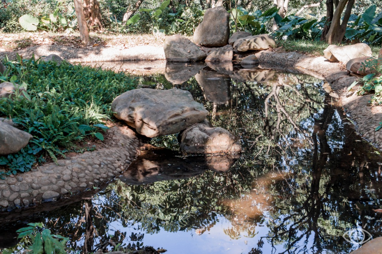 深圳十大顶级公园,深圳市十大风景公园排名
