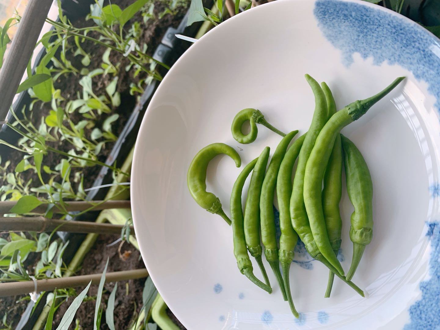 背阴阳台设计,收获展板