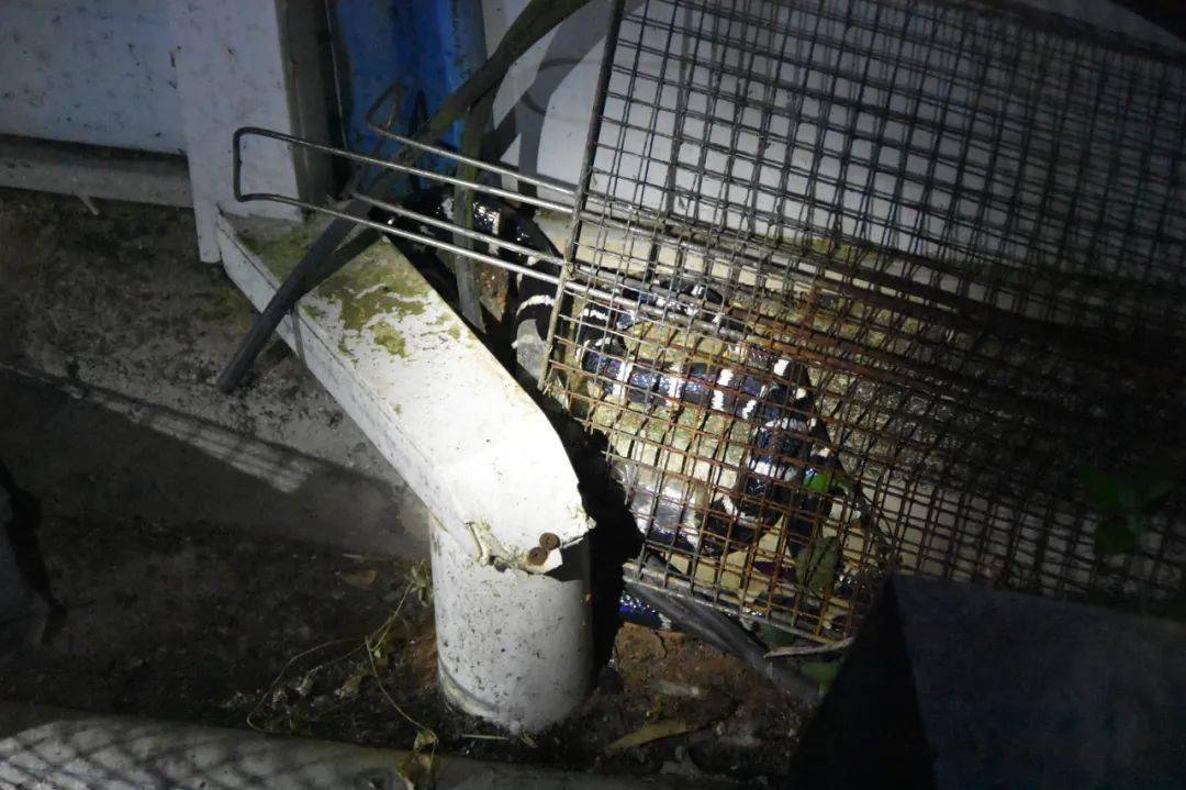 贵州被毒蛇咬了去哪个医院,野外银环蛇咬伤事件