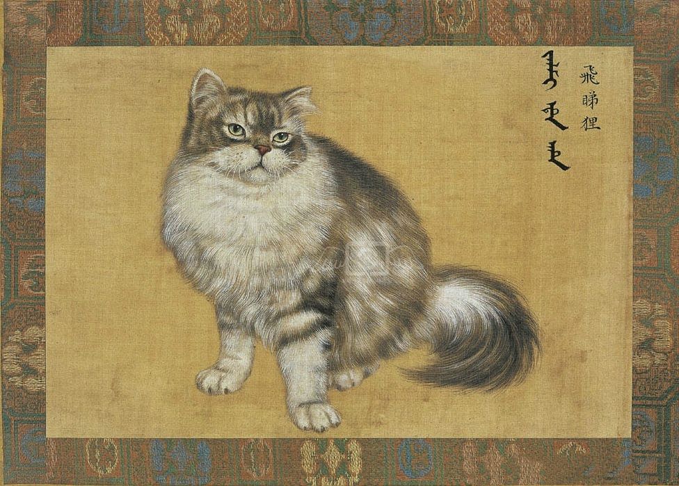 有人说中国人不吃肉怎么回答,中国人号称什么都吃为何不吃猫