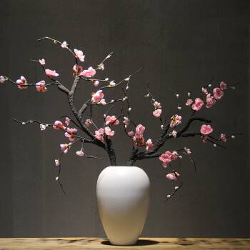 今年有哪些年宵花,春节6种年宵花推荐颜值高寓意好