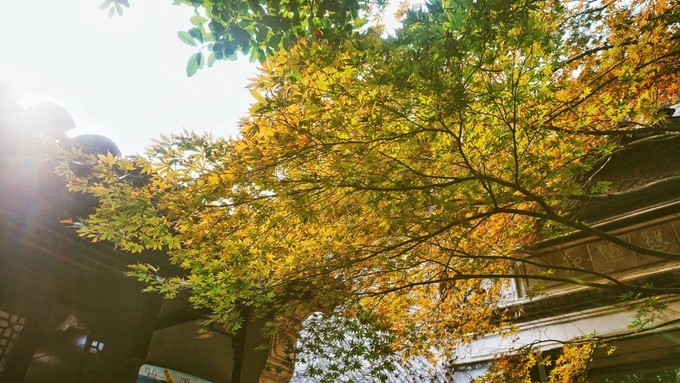 杭州西湖乌镇苏州南京上海攻略,天青色等烟雨乌镇旅游