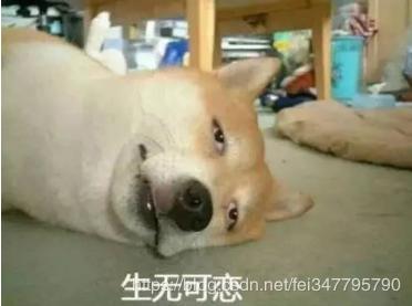 python爬取今日头条,python爬取头条文章