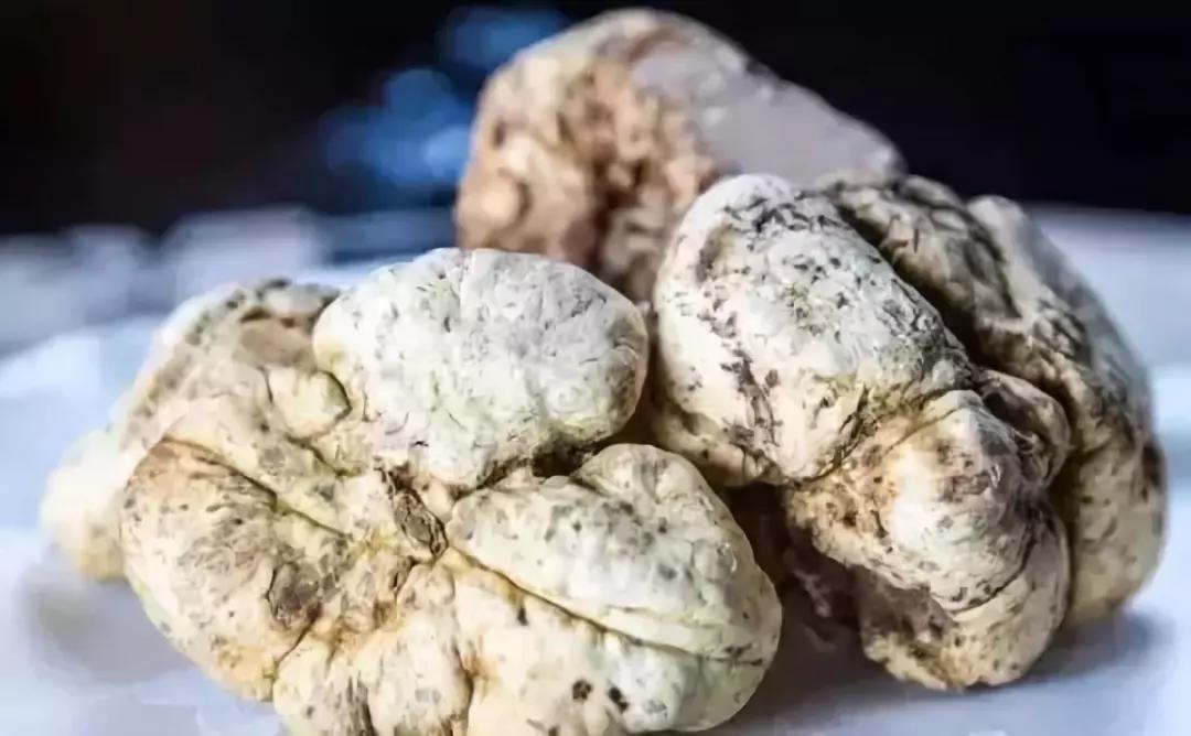 盘点世界最贵的是什么,世界上最贵的都有什么