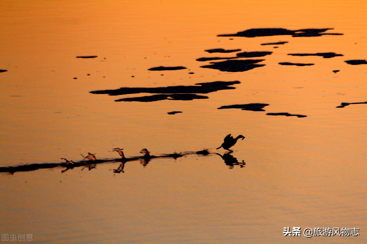 真正的天津水库,天津各大水库