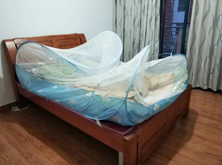 合租养猫劝退指南,《养猫劝退指南》