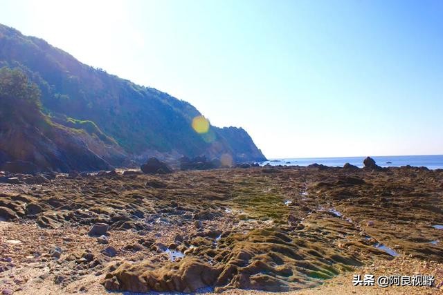 庄河黑岛名人,庄河黑岛沈屯