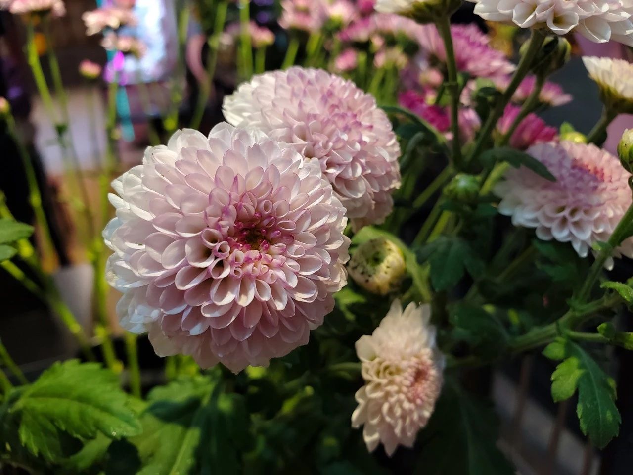 三星s10+真实评测,三星s10+深度测评