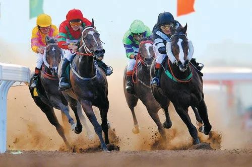 第10届少数民族运动会在哪看,民族运动会为何叫少数民族运动会