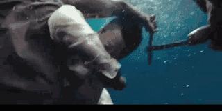 吴京拍战狼为什么没被偷票房,吴京凭借战狼斩获票房