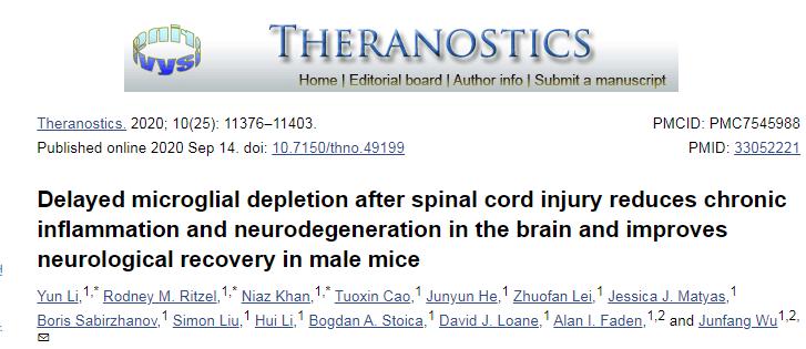 脑炎不容小觑，轻则记忆衰退，重则痴呆