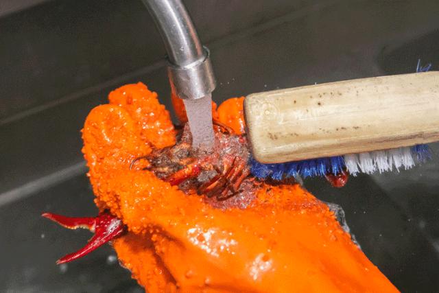 小龙虾季节来了小龙虾8折优惠,火遍全国的小龙虾39折只卖6天