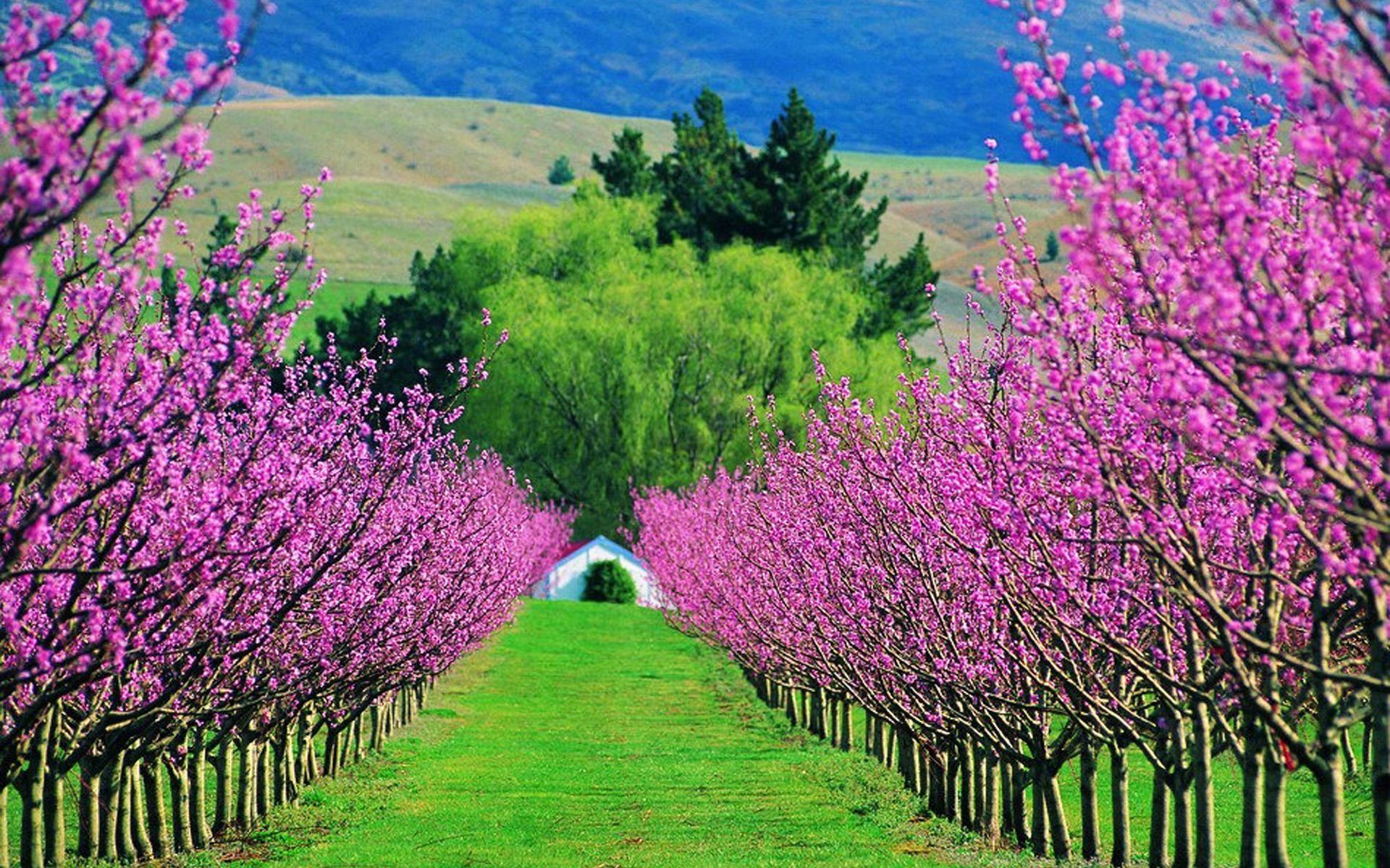 白羊座的10条性格,白羊座4种性格