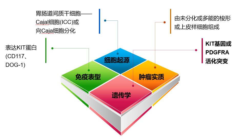 基因检测靶向治疗真的有效果吗,长沙医院癌症靶向治疗基因检测