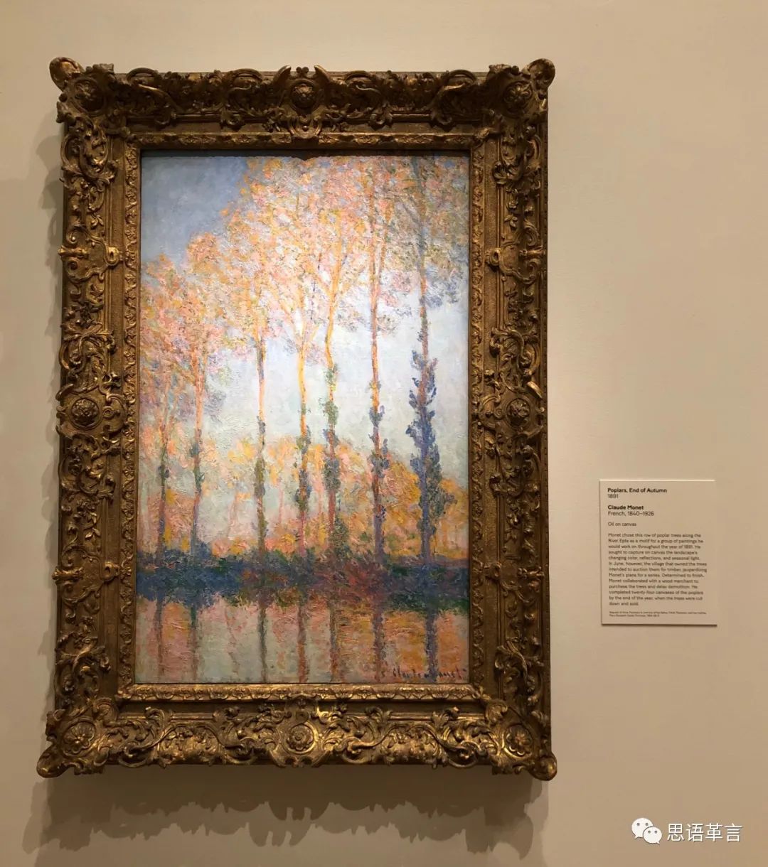 美国行完整版视频,美国行之纽约篇完整版