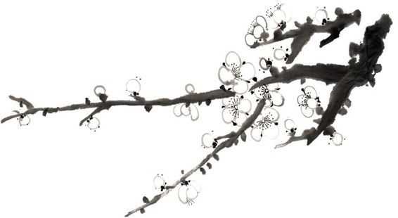 零基础梅花花朵入门画法,零基础学国画梅花入门步骤