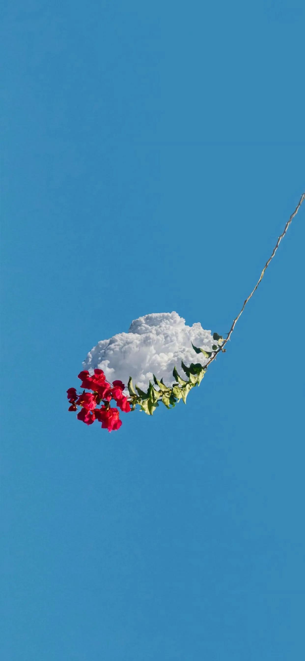 让人很惊艳的微信壁纸,2021独一无二微信背景高清壁纸