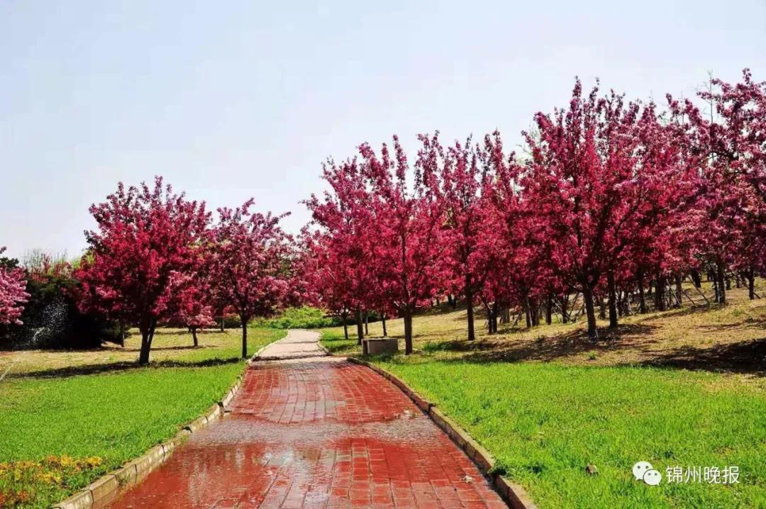 锦州露营自驾游推荐,锦州五一踏青露营