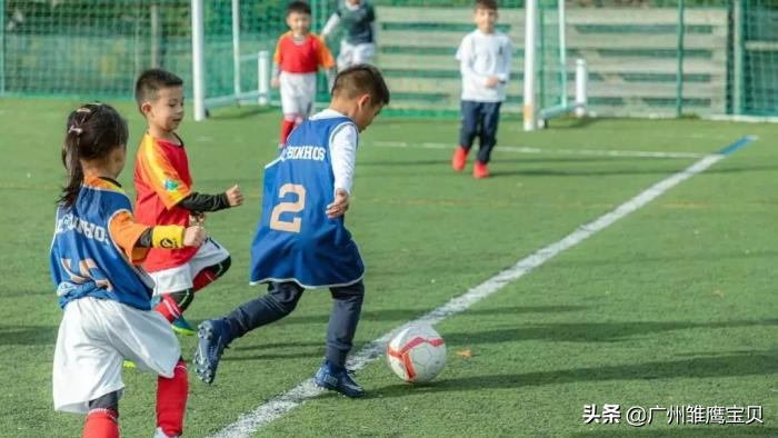 雏鹰宝贝幼儿园足球,足球特色示范幼儿园如何实施