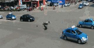 如何防止鬼探头事故发生,鬼探头到底多可怕怎么才能预防