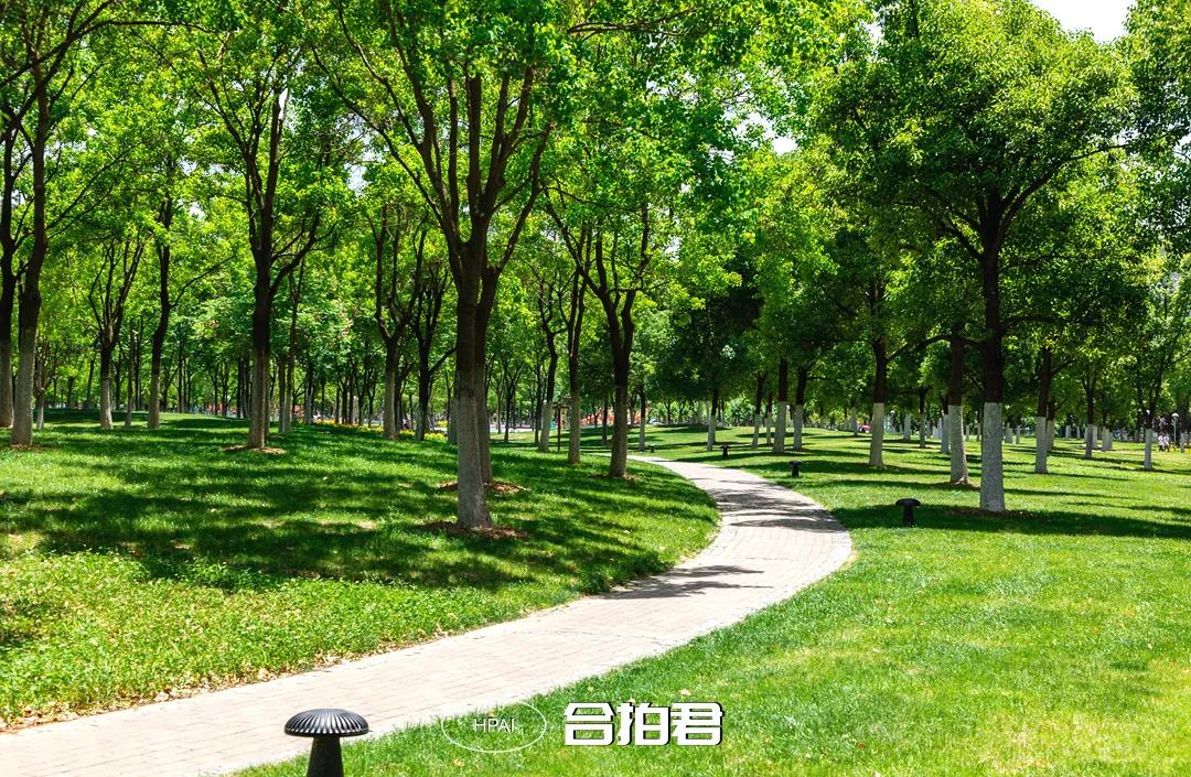 合肥政务区绿轴,绿轴公园合肥