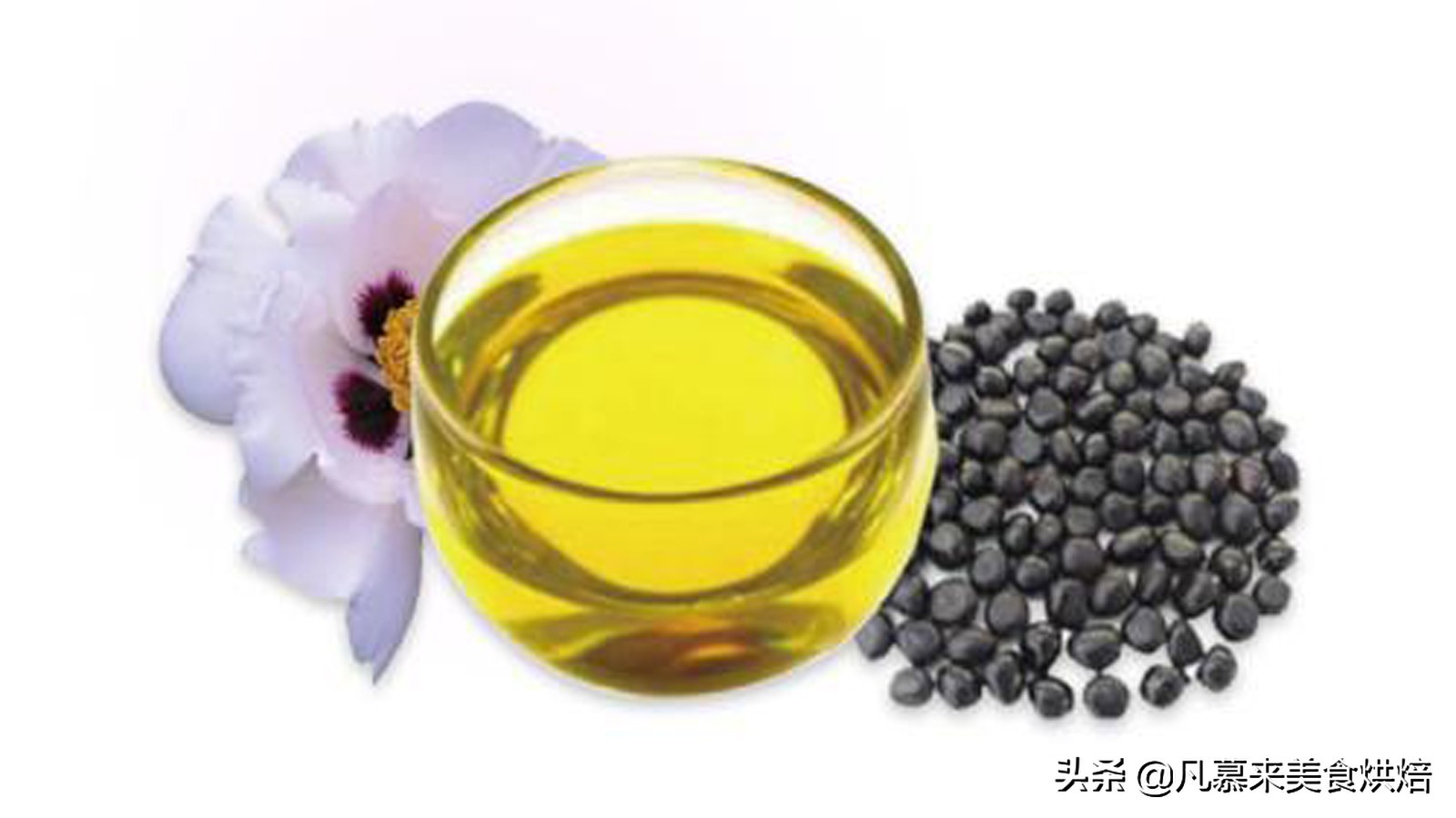 食用调和油和色拉油有什么区别,色拉油跟普通食用油有什么区别