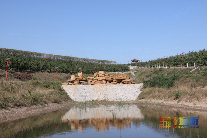 脆甜苹果新鲜水果,脆甜的苹果有什么品种
