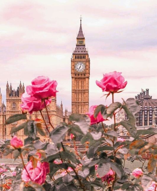 为啥老外不关心别人闲事,美国人爱多管闲事