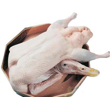 比熊犬的泪痕怎么处理呢,比熊犬泪痕很严重怎么办