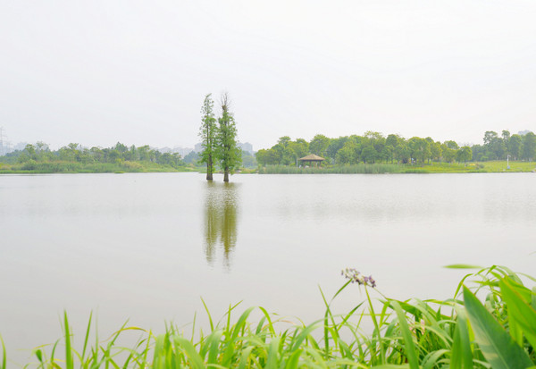 南昌动物园哪里有大象,南昌大象公园