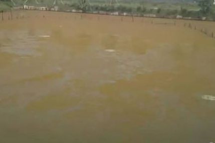 鱼塘油膜水怎么处理,养殖水体油膜多是什么原因造成的