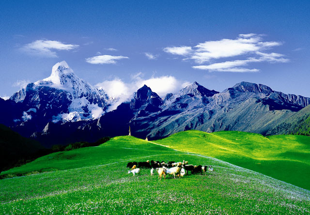 自驾游稻城亚丁攻略视频,成都到稻城亚丁自驾游最佳路线